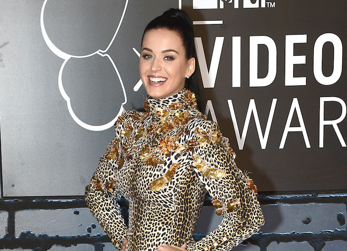 Katy Perry: The 2013 MTV Video Music Awards