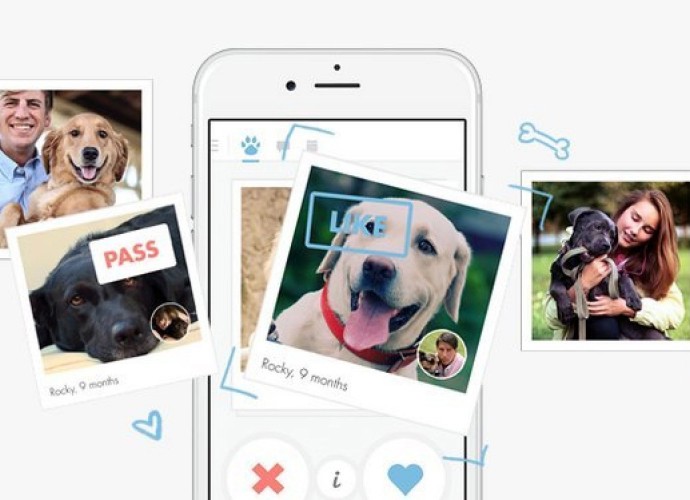 Tindog App Is A ‘Tinder’ For Dogs