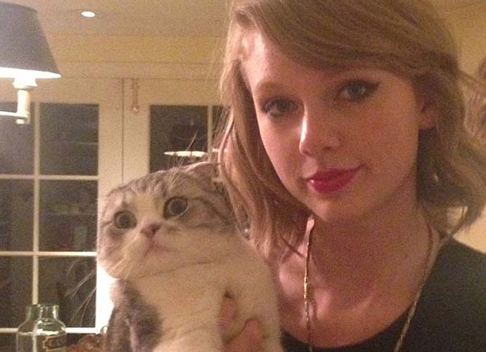 Taylor Swift And Cat Meredith Grey