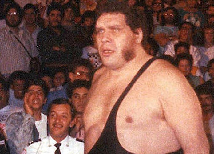 news-andre-the-giant