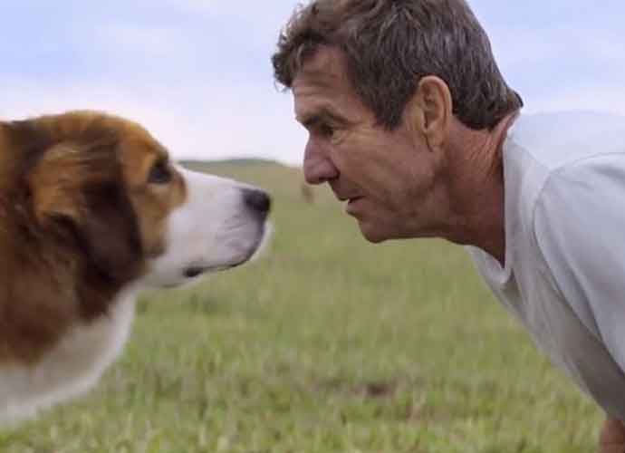 A Dogs Purpose Review Roundup (with Dennis Quaid)