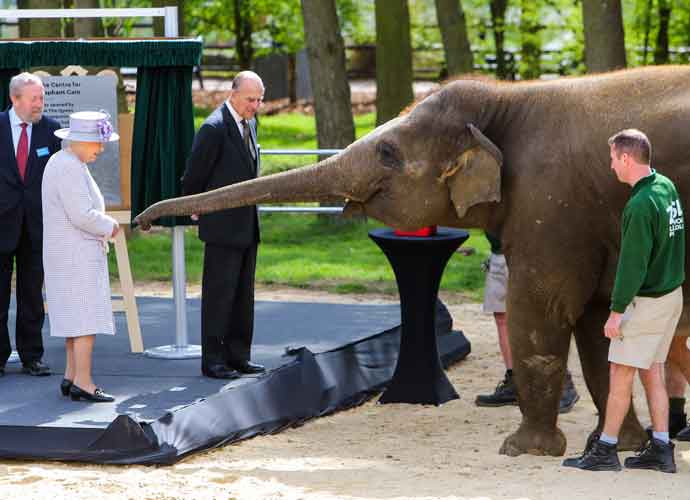 Queen Elizabeth and Prince Philip visit the new elephant centre at ZSL Whipsnade Zoo (Image: Getty)