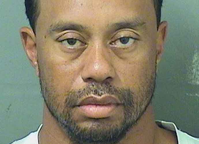 Tiger Woods Mug Shot from DUI Arrest