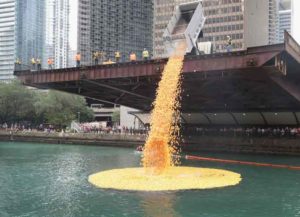 CHICAGO, IL - AUGUST 03: Rubber ducks are dropped into the Chicago River to start the Windy City Rubber Ducky Derby on August 3, 2017 in Chicago, Illinois. Derby organizers drop 60,000 rubber ducks into the river to start the race which helps to raise about $350,000 for Special Olympics Illinois. The sponsor of the first duck to float across the finish line is awarded a new SUV. (Photo by Scott Olson/Getty Images)