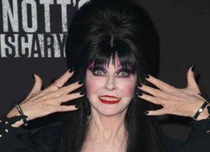 Elvira attends Knott's Scary Farm and Instagram's celebrity night - Arrivals (Image: Getty)