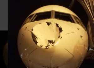 Nose Of Oklahoma City Thunder's Plane Severely Damaged By Possible Bird Strike
