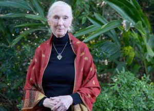 ORLANDO, FL - APRIL 19: (EXCLUSIVE COVERAGE)Dr Jane Goodall poses at a reception in honor of Disney Conservation Funds 20th Anniversary during Walt Disney World Awaken Summer event on April 18, 2016 in Orlando, Florida. (Photo by Gustavo Caballero/Getty Images)