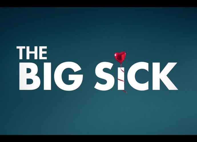 The Big Sick logo