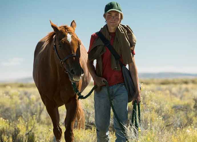 'Lean On Pete' Blu-Ray Review: A Boy's Emotional Search For Solidity