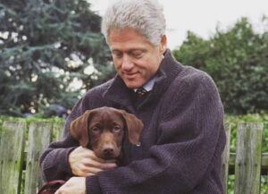 Bill Clinton with his dog on National Puppy Day 2020 (Image: Instagram)