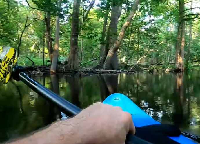 WATCH: Kayaker Captures Alligator Attack In North Carolina River On Video