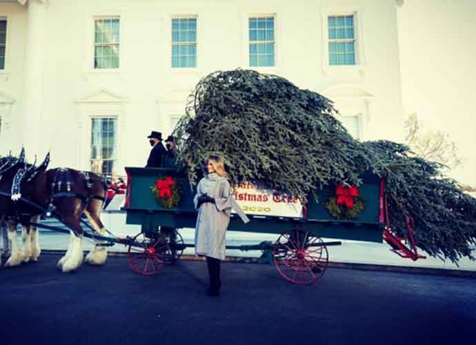 Melania Trump Mocked For White House Christmas Tree Reveal After Anti-Christmas Comments