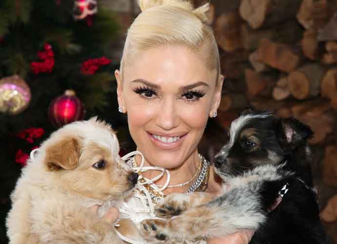 UNIVERSAL CITY, CALIFORNIA - DECEMBER 02: Singer Gwen Stefani poses with rescue dogs on the set of Hallmark Channel's 