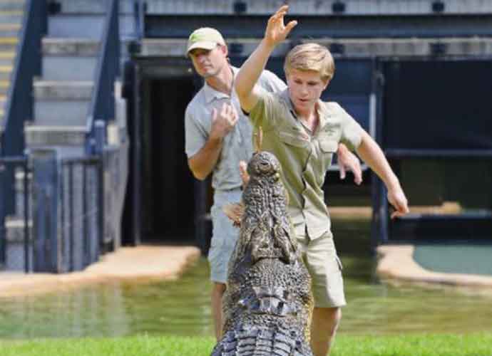 Robert Irwin Celebrates 17th Birthday With Tribute To Late Father Steve Irwin