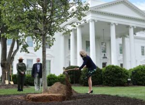 WASHINGTON, DC - APRIL 30: First lady Dr. Jill Biden participates in a tree planting ceremony on the North Lawn of the White House on April 30, 2021 in Washington, DC. In observation of Arbor Day, Biden put three shovels full of dirt around the base of a newly planted Linden tree that replaced one that was removed last month because it was accessed a risk due to decay. (Photo by Chip Somodevilla/Getty Images)