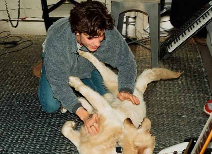 Shawn Mendes plays with new dog, Tarzan (Image: Instagram)