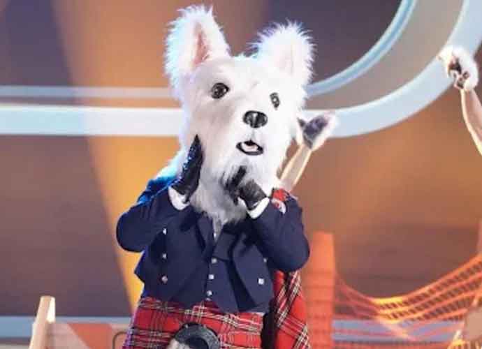 'The Masked Singer' Contestant McTerrier's Mask Falls Off During Production (Image: NBC)