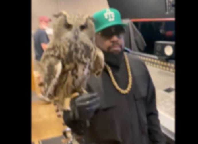 Big Boi brings pet owl in studio (Image: Twitter)