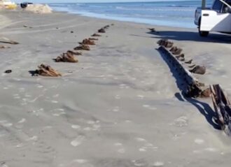 Mysterious object on Florida beach is likely from a 19th century shipwreck (Image: Daytona Beach Safety)