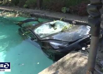 Woman dies after driving Tesla into pool (Image: YouTube)