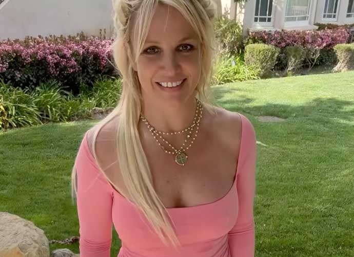 Britney Spears models new pink dress (Image: Instagram)