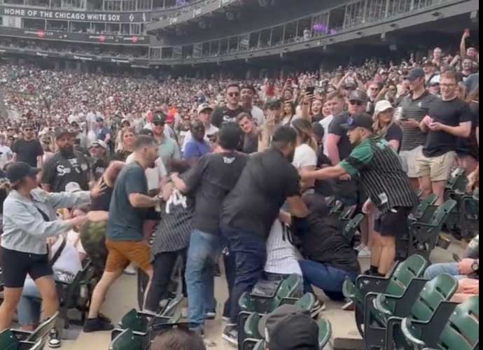 Fans fight at White Sox game (Image: Twitter)