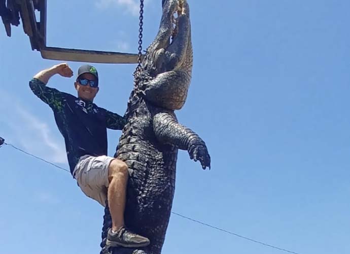 13-foot alligator caught in Florida lake (Image: Florida Alligator Hunting)