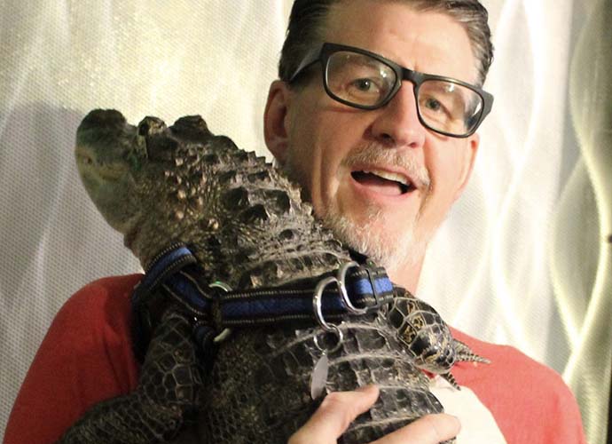 Wally Gator, an emotional support alligator, shows some love to his owner (Image: Instagram)