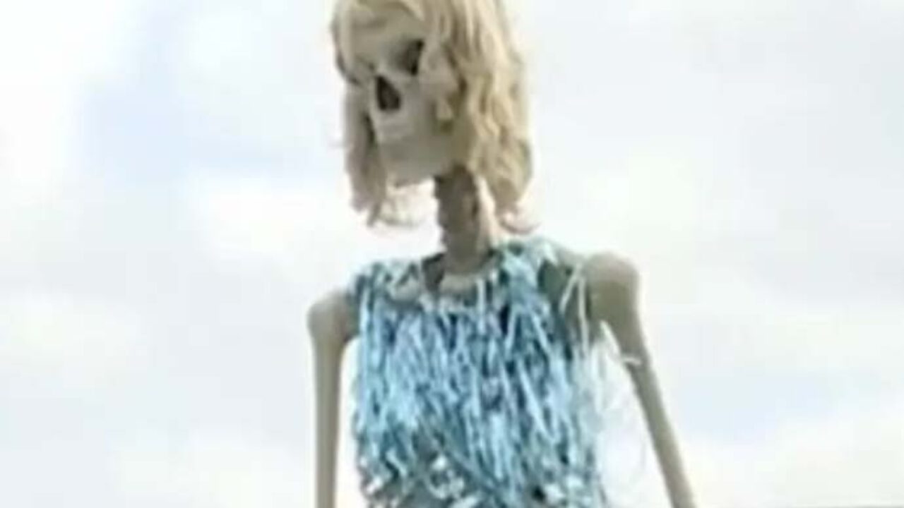 Taylor Swift Skeletons! Swiftie Creates Eras Tour-Inspired Halloween Display