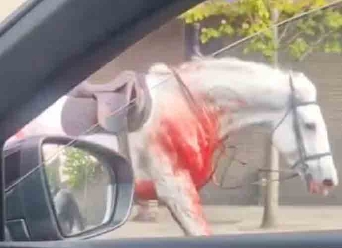 Blood-soaked horses roam the streets of London (Image: X)
