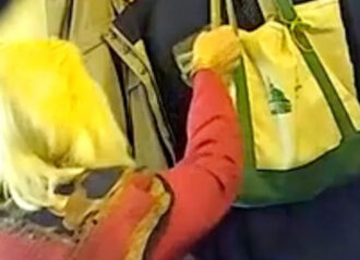 Vermont state Rep. Mary Morrissey pours water in Democrat's bag (Image: X)