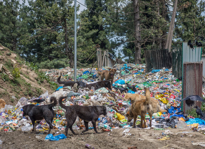 Microplastics Now Make Up .5% Of Human Brain Matter, New Study Shows