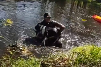 VIDEO: Deputy Rescues Dog Stuck In Canal