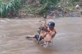 VIDEO: Firefighters Use Zip Line To Help Dog & Its Owner Across A Swollen River