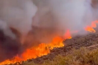 VIDEO: Firefighters Challenged By ‘Extreme Fire Behaviour’ In Blaze North Of L.A.