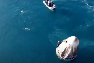 VIDEO: Dolphins Greet Stranded NASA Astronauts As They Finally Splash Down Back On Earth