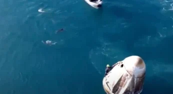 VIDEO: Dolphins Greet Stranded NASA Astronauts As They Finally Splash Down Back On Earth